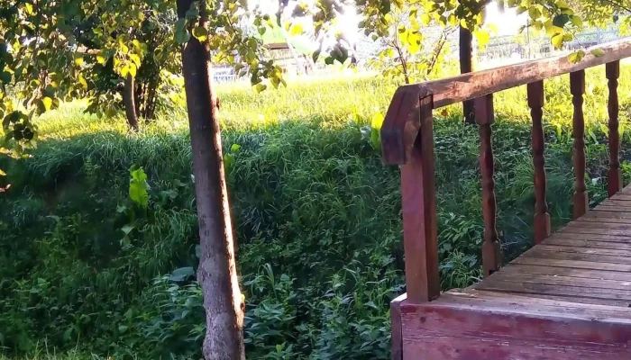 Popas Todiresti -  De La Vizitatori - Suceava