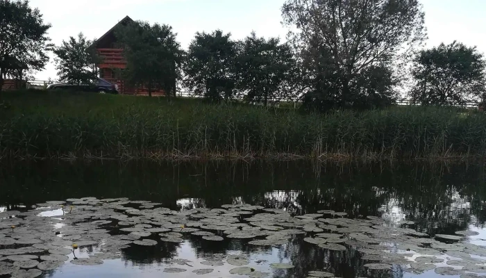 Popas Todiresti -  Număr - Suceava