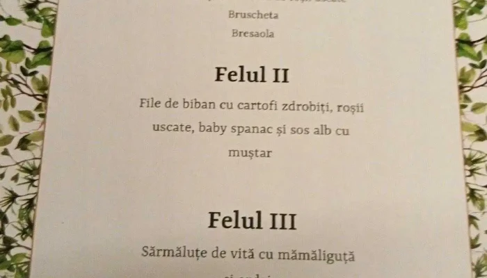 Popas Valu Lui Traian -    Andra International Meniu - Valu Lui Traian