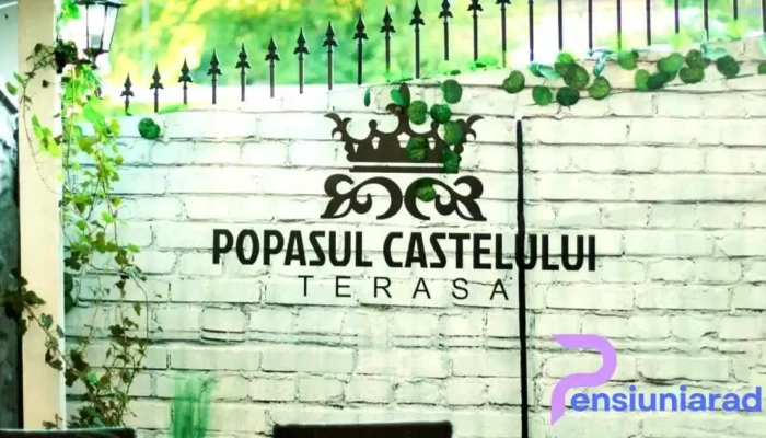 Popasul Castelului -  De La Proprietar - Hunedoara
