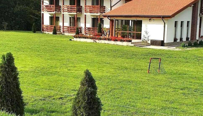 Popasul Din Lunca -  De La Vizitatori - Pui