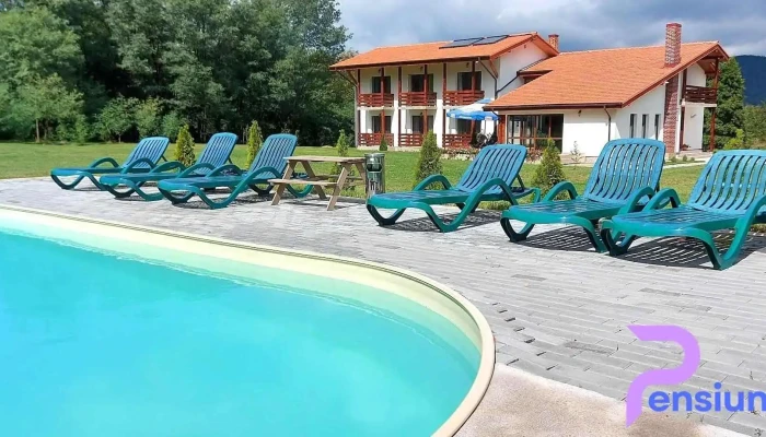 Popasul Din Lunca -  Exterior - Pui