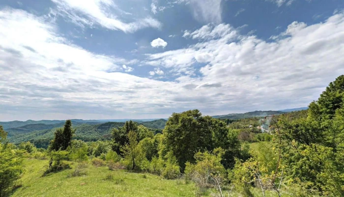 Primaria Bezdead Street View Si 360deg - Bezdead