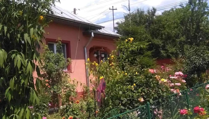 Primaria Calinesti Instagram - Călineşti