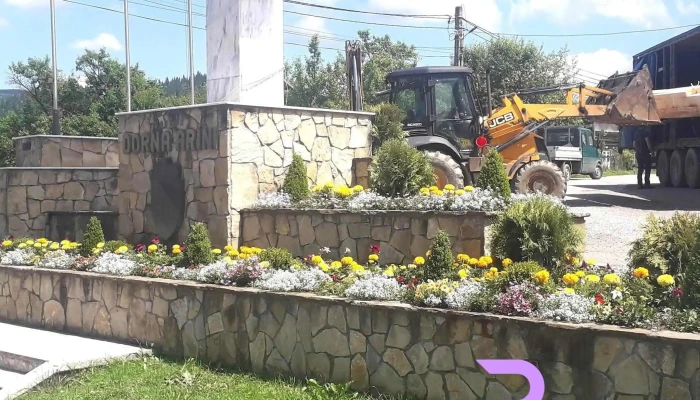 Primaria Dorna Arini Prețuri - Cozănești