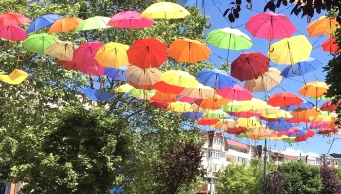 Primaria Municipiului Moinesti Aproape De Mine - Moinești