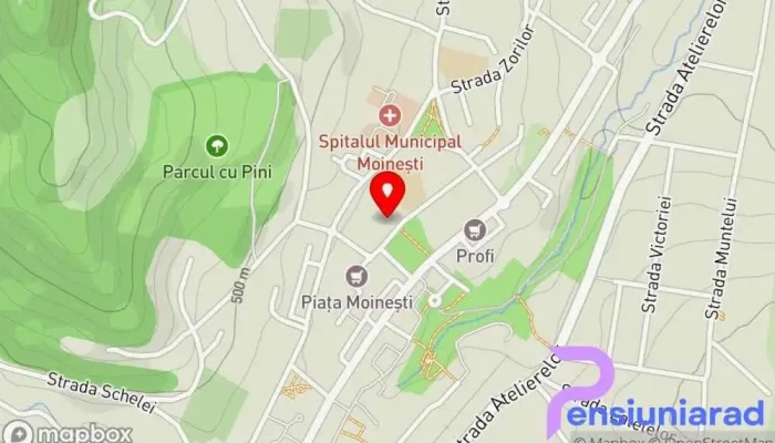 Primaria Municipiului Moinesti Hartă - Moinești