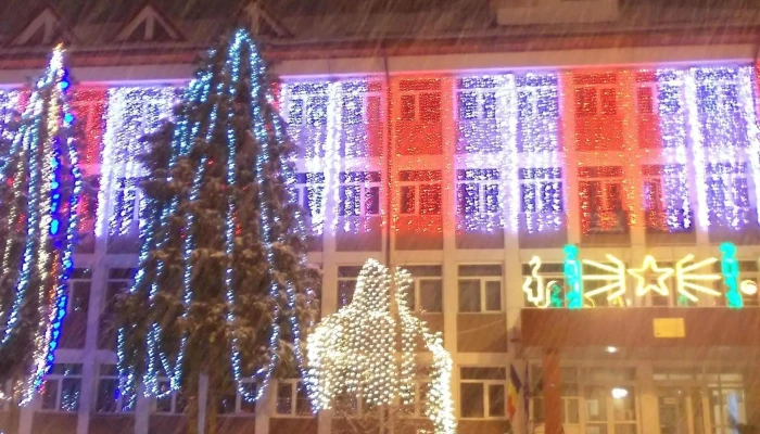 Primaria Municipiului Moinesti Telefon - Moinești