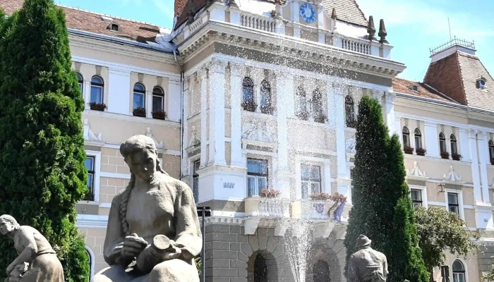 Primaria Odorheiu Secuiesc Prețuri - Odorheiu Secuiesc