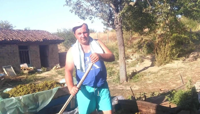 Primaria Oltina Locație - Oltina
