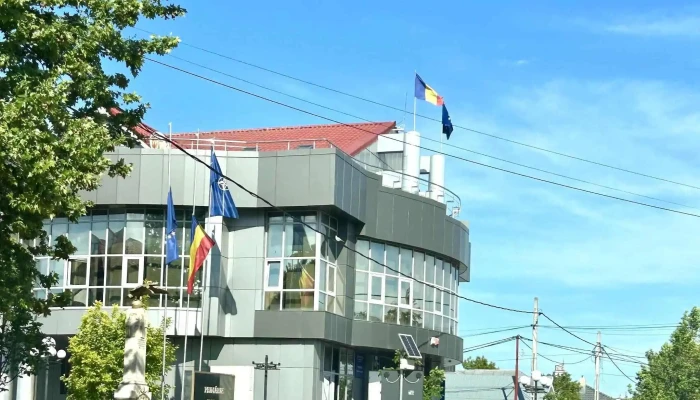 Primaria Orasului Dabuleni Cele Mai Recente - Dăbuleni