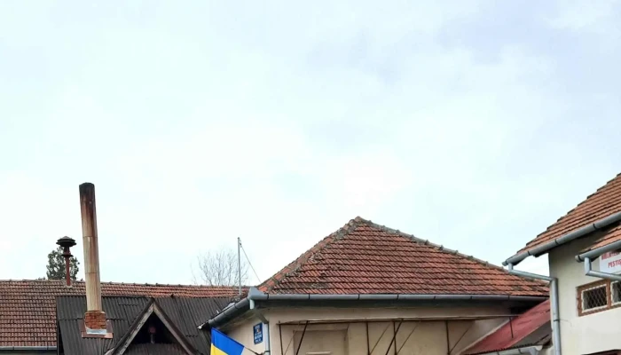 Primaria Pestisu Mic Peștișu Mic - Peștișu Mic