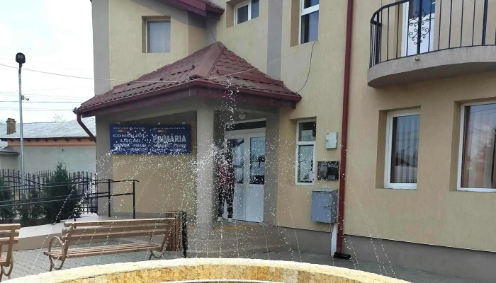 Primaria Poiana Dambovita Poiana - Poiana
