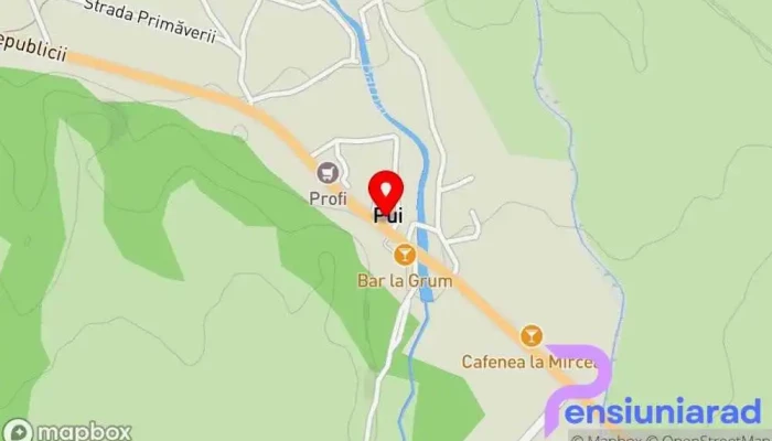 hartă a Primăria Pui Primărie în Pui