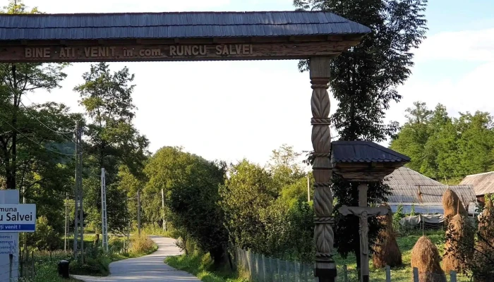 Primaria Runcu Salvei Runcu Salvei - Runcu Salvei
