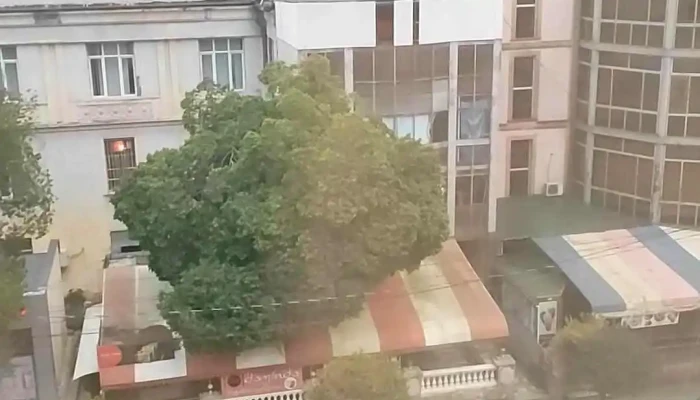 Primaria Tibanesti Videoclipuri - Țibănești
