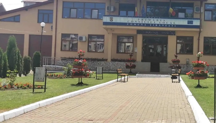 Primaria Tibanesti țibănești - Țibănești
