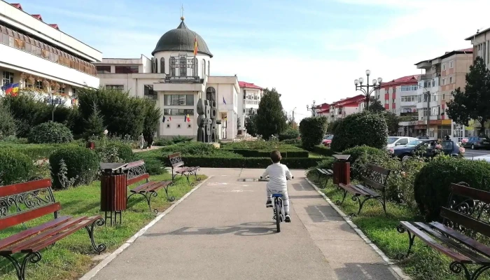Primaria Topoloveni Cum Să Ajungi Acolo - Topoloveni