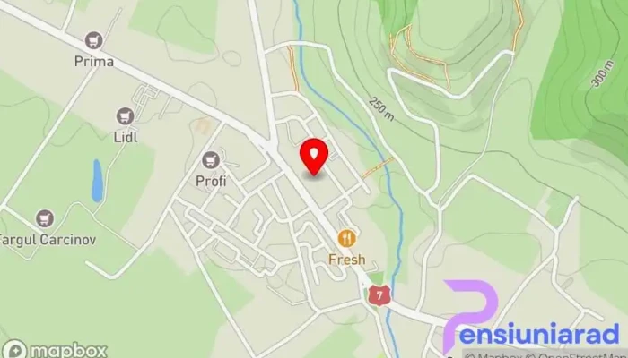hartă a Primăria Topoloveni Primărie în Topoloveni