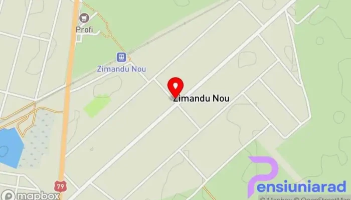 Primaria Zimandu Nou Hartă - Zimandu Nou