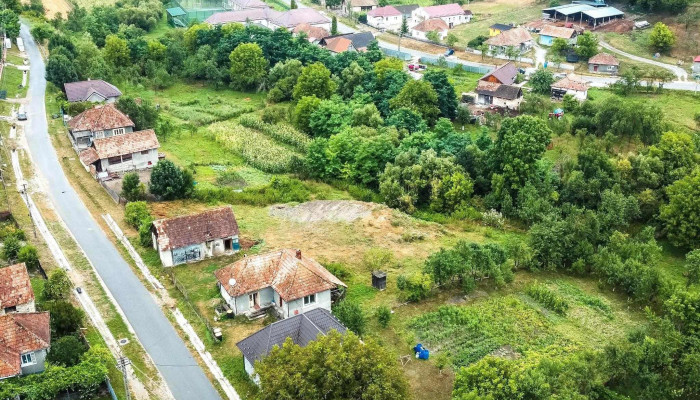Primaria Zonă - Aluniş