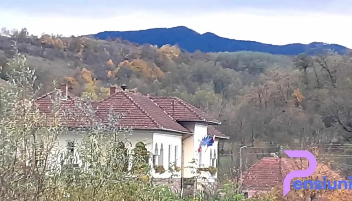 Primăria Balșa - România