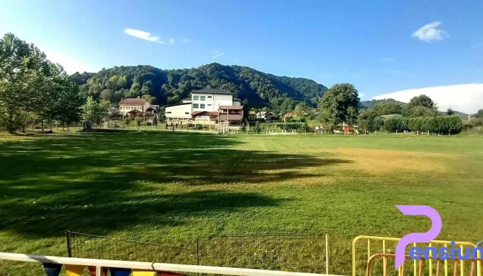 Primăria Bezdead - Bezdead