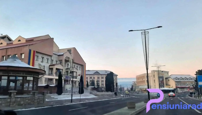 Primăria Municipiului Topliţa - Toplița