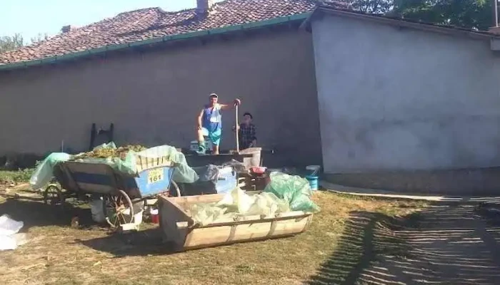 Primăria Oltina - Oltina