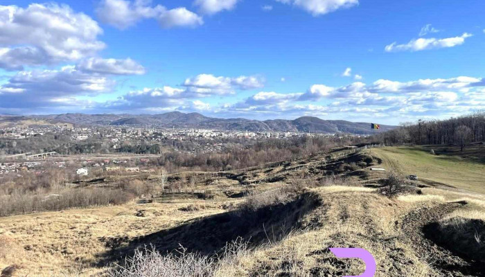 Primăria Poiana-Câmpina - Poiana Câmpina