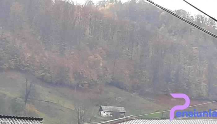 Primăria Rebra - Rebra