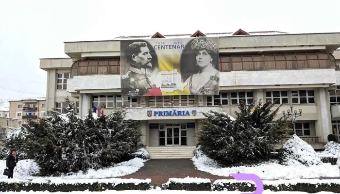 Primăria Topoloveni - Topoloveni