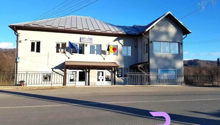 Primăria Vlădeşti - Vlădești