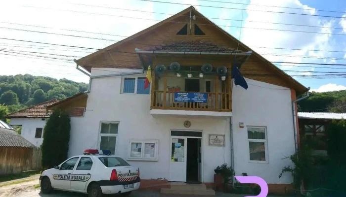 Primăria Vultureşti - Comuna Vulturești
