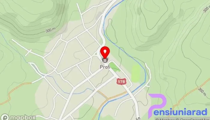 Profi -  Hartă - Bozovici
