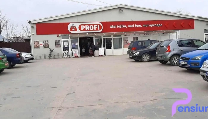 Profi -  Parcare - Dăbuleni