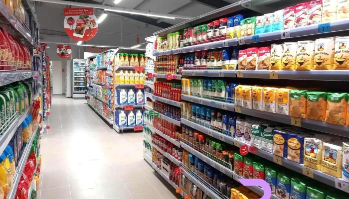 Profi Vinga -  De La Proprietar - Vinga