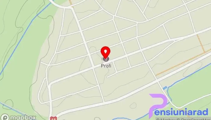 Profi Vinga -  Hartă - Vinga