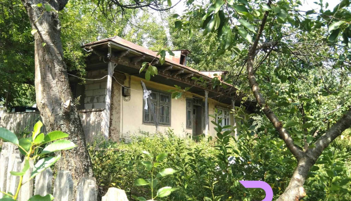 Puieni -  Adresă - Puieni