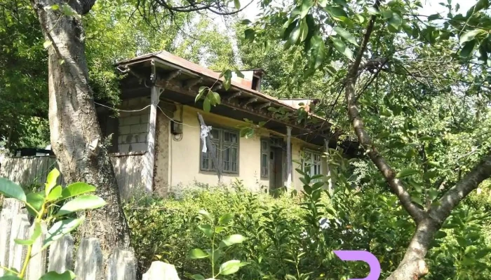 Puieni - Puieni