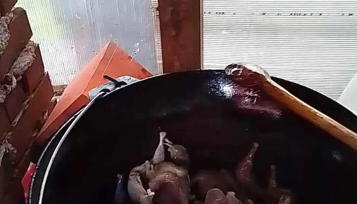 Punct Gastronomic Local La Malul Ariesului Garda De Sus Videoclipuri - Gârda De Sus