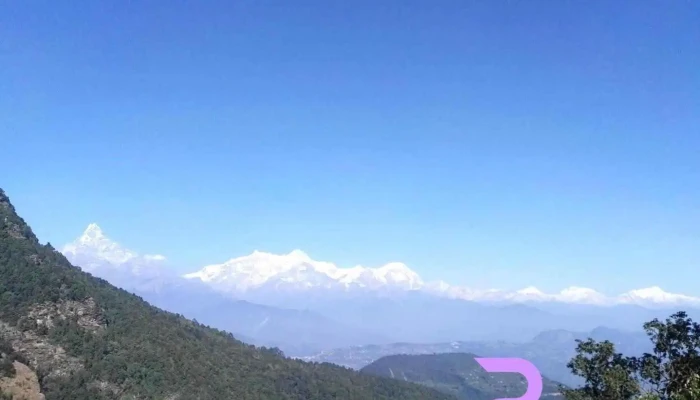 Purani - Purani
