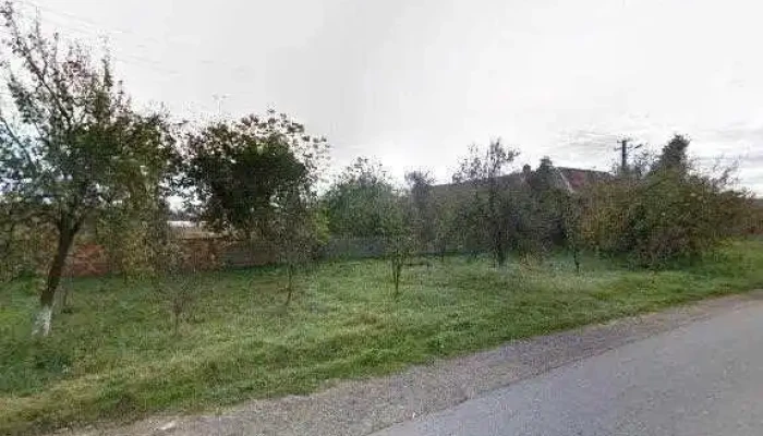Puz Belint -  Comentarii - Belinț