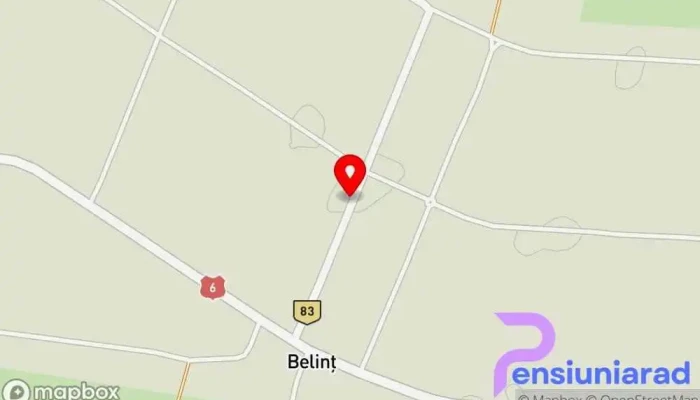 Puz Belint -  Hartă - Belinț