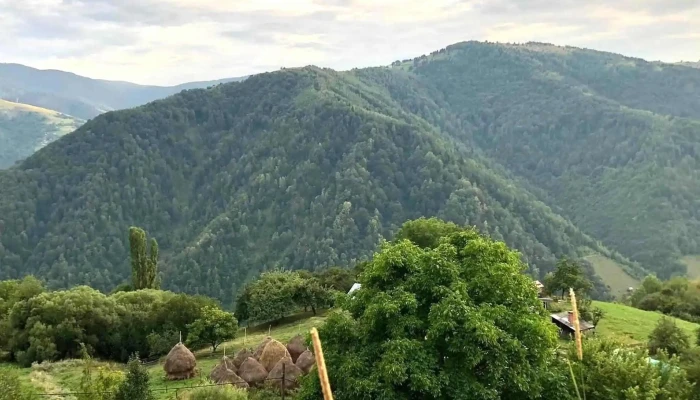 Racatau Instagram - Măguri-răcătău