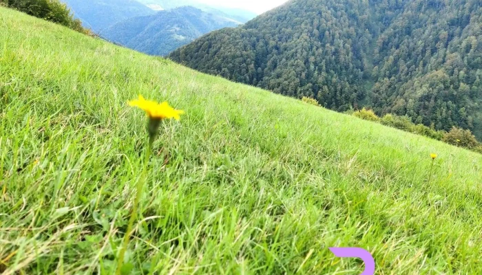 Racatau Munte - Măguri-răcătău