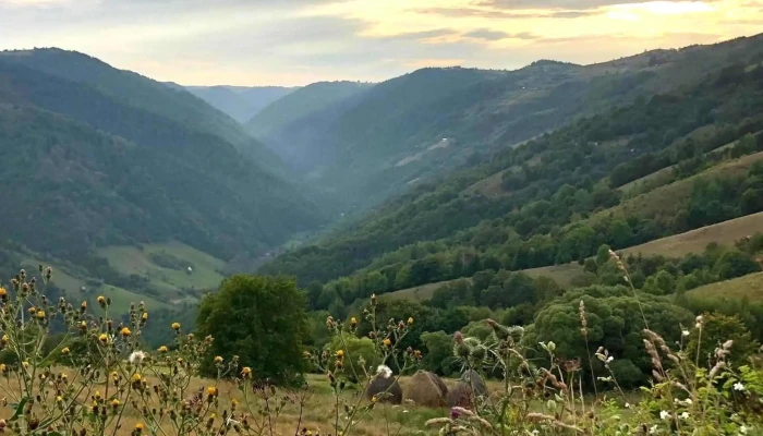 Racatau Promoție - Măguri-răcătău