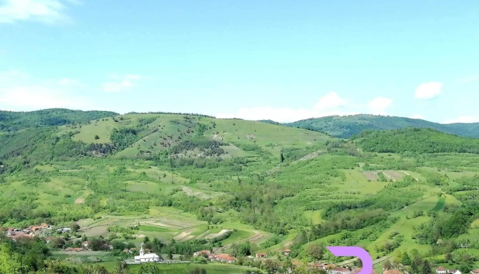 Rachitova Program - Răchitova