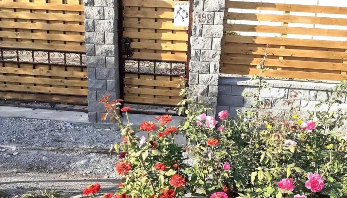 Radomiru -  Promoție - Radomiru