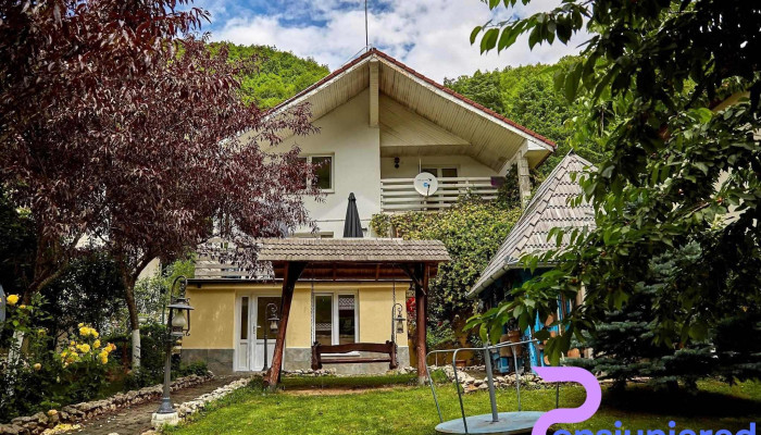 Ramet Mansion -  Exterior - Valea Mănăstirii